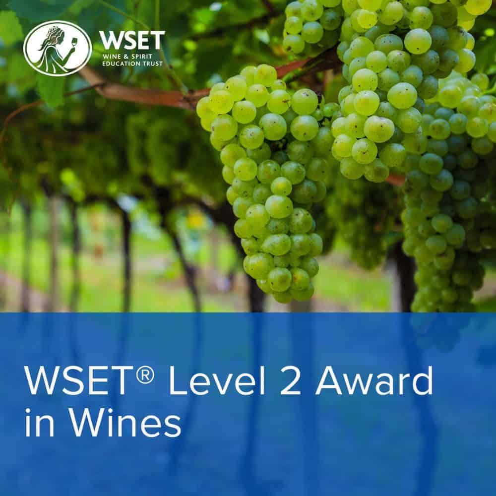 WSET Nivel 2 Online